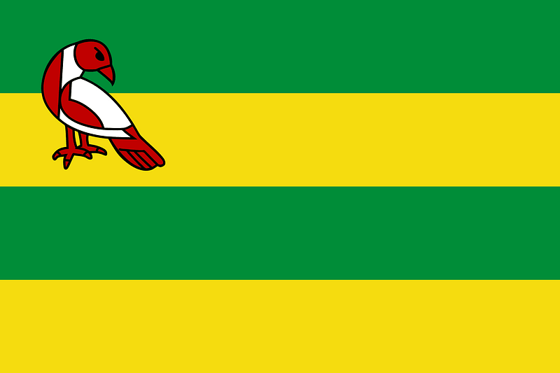 Vlag van Hindeloopen met de SV Hielpen Garuda