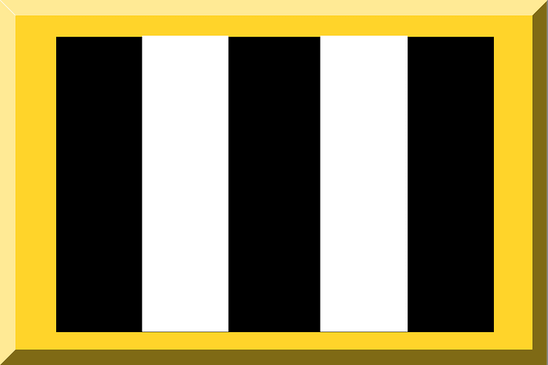 Bianco e Nero (Strisce) bordato Oro