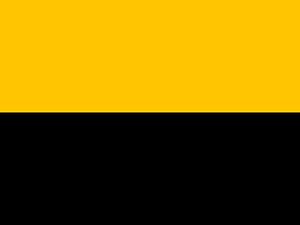 Vitesse Arnhem flag