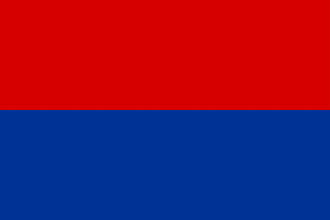 FRI party flag