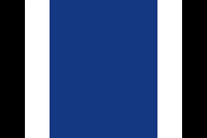 MAS party flag