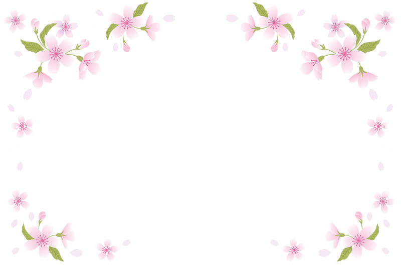 Cherry blossoms frame