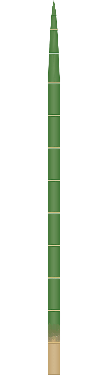 Bamboo stick