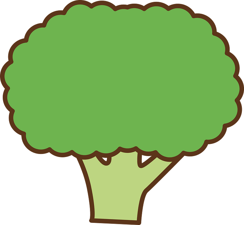 Broccoli vegetable