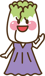 Cabbage vegetable