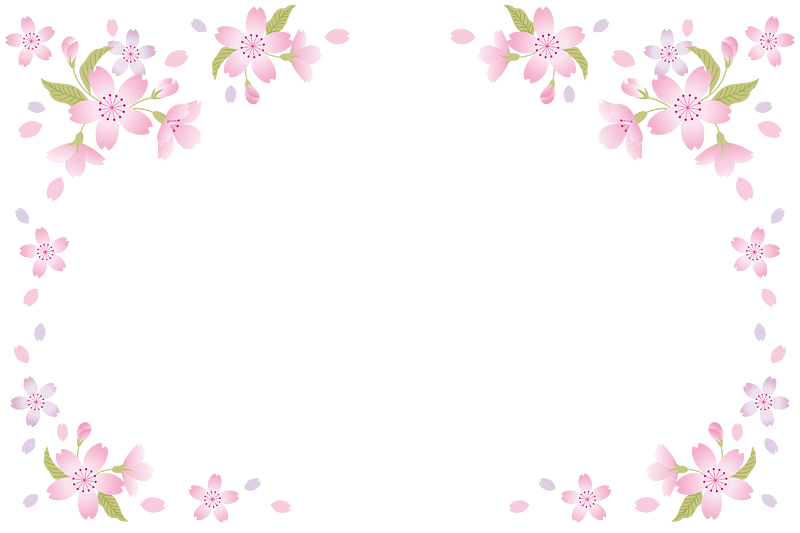 Cherry blossoms frame