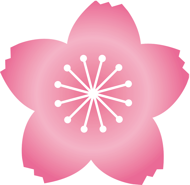 Cherry blossoms