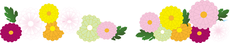 Chrysanthemum frame