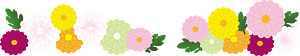 Chrysanthemum frame