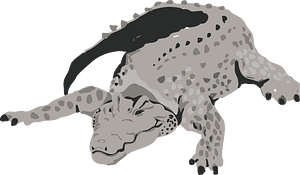 Crocodile alligator