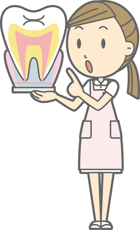 Dental hygienist