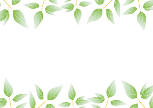 Green leaves frame