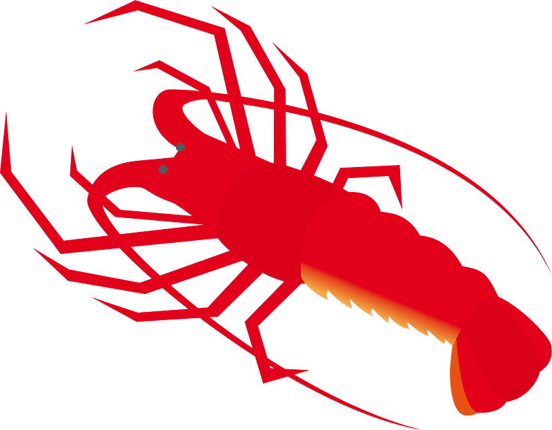 Japanese spiny lobster