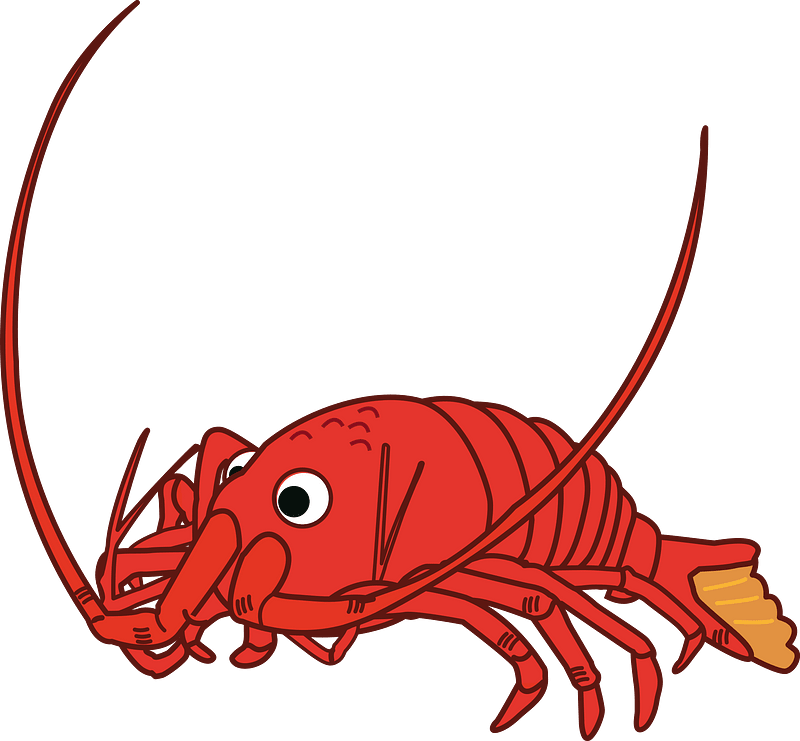 Japanese spiny lobster