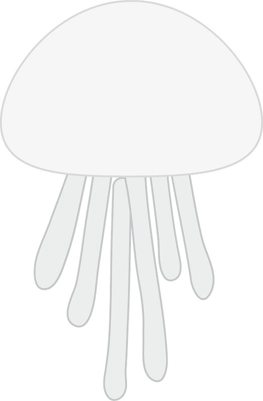 Jellyfish animal