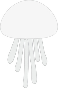 Jellyfish animal