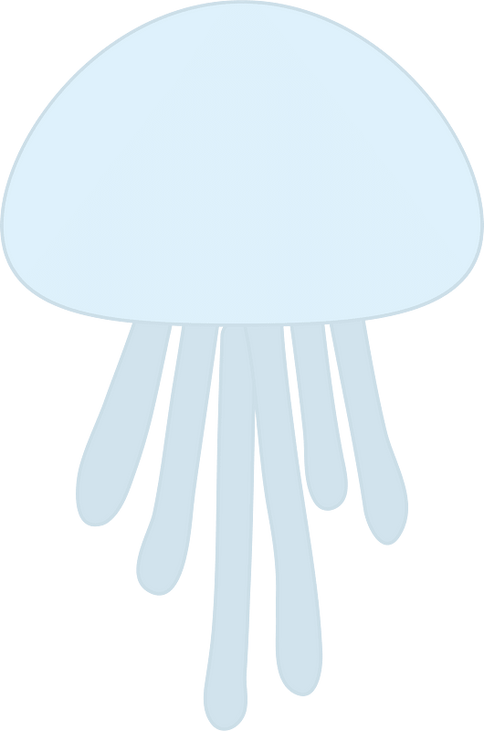 Jellyfish