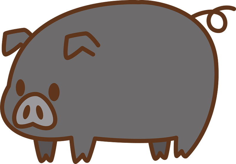 Pig