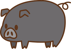 Pig