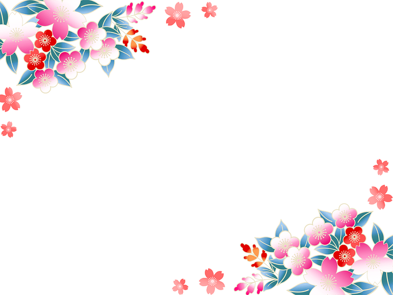 Plum cherry blossoms
