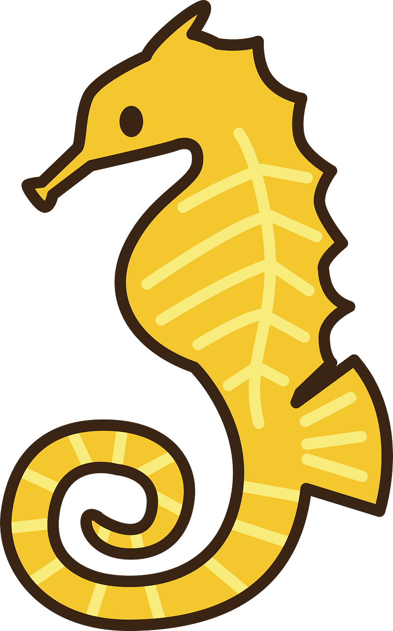 Seahorse