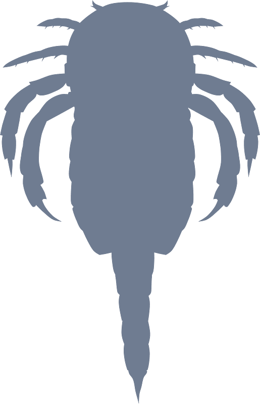 Alkenopterus