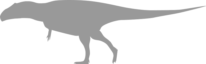 Carcharodontosaurid