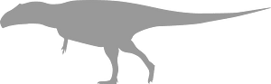 Carcharodontosaurid