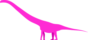 Chuanjiesaurus