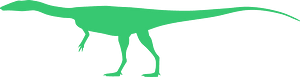 Coelophysis