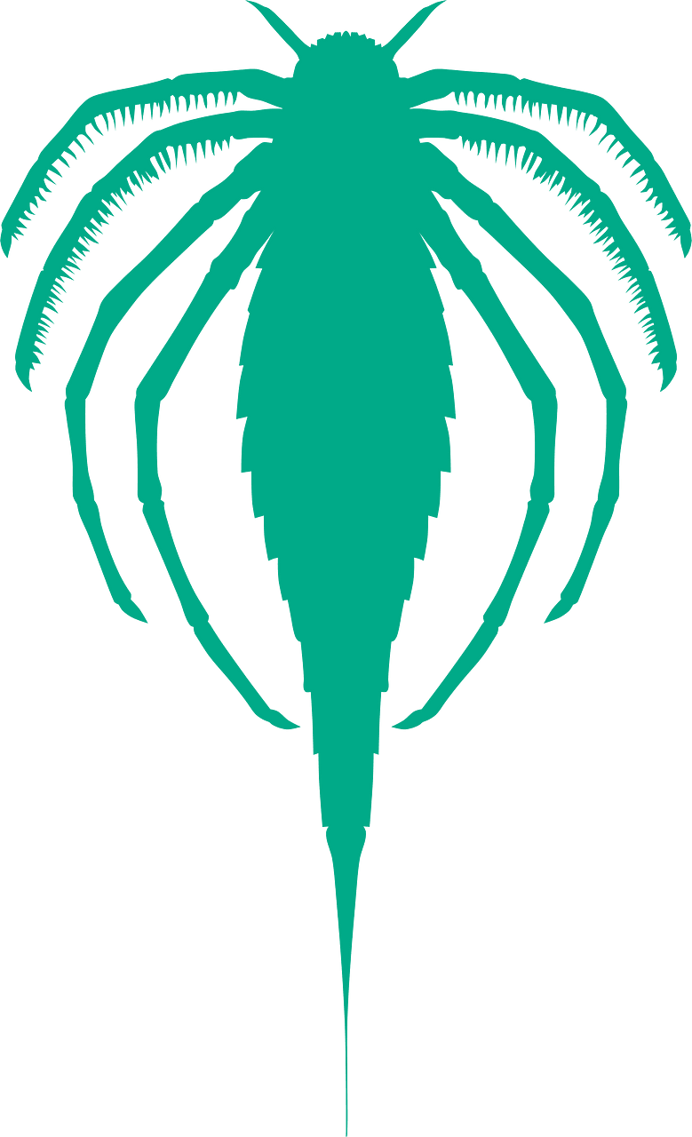 Ctenopterus