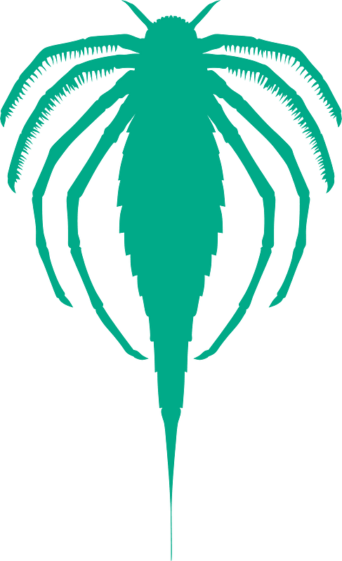Ctenopterus