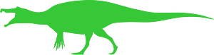 Irritator