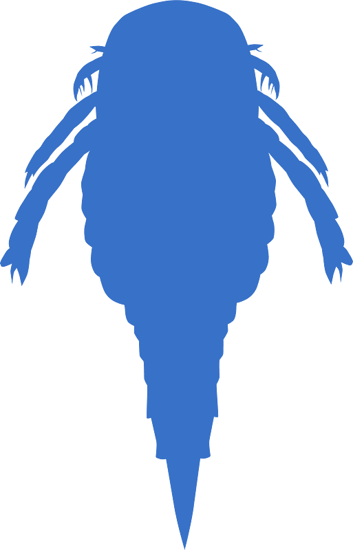 Onychopterella