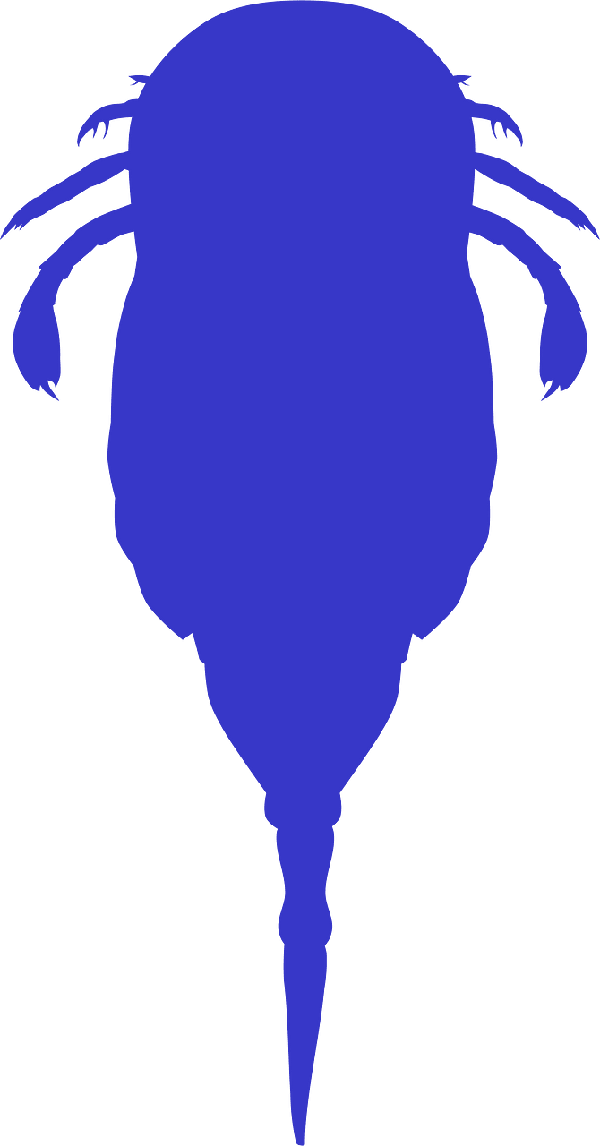 Onychopterellidae