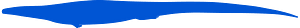 Opetiosaurus