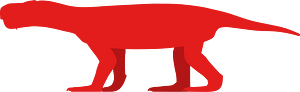 Rubidgea