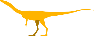 Segisaurus
