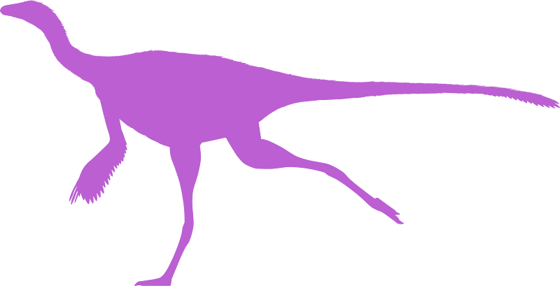Sinornithomimus
