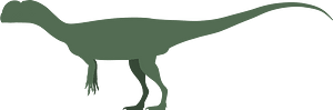 Sinosaurus