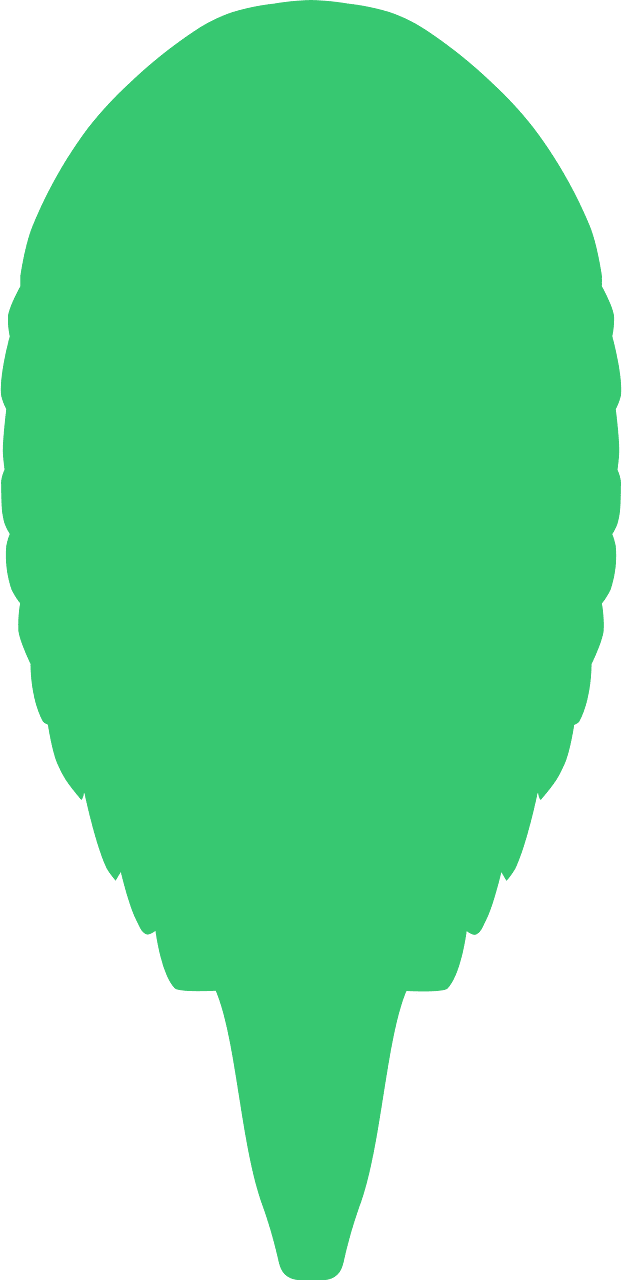 Strabopida