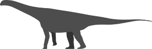 Tazoudasaurus