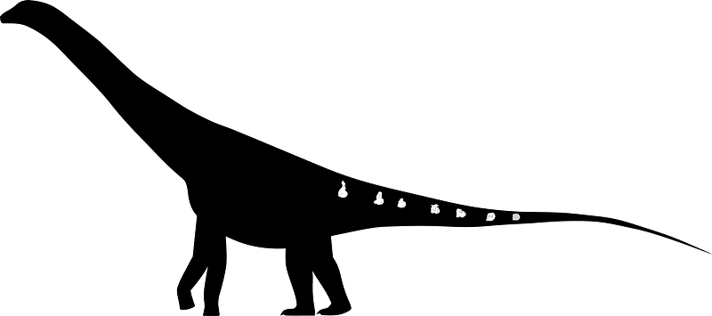 Volgatitan Skeletal