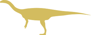 Xingxiulong