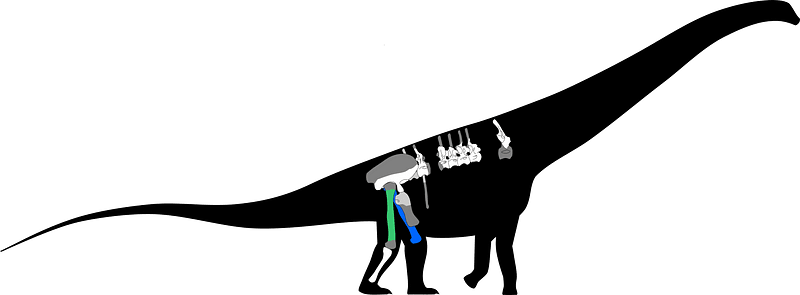 Argentinosaurus Skeletal
