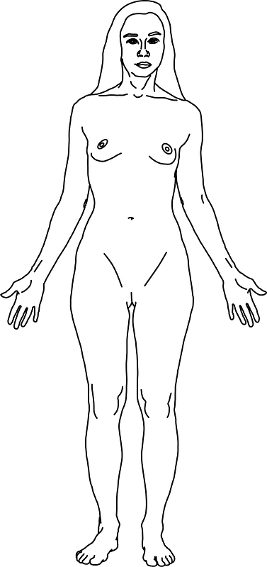 Anterior Naked woman
