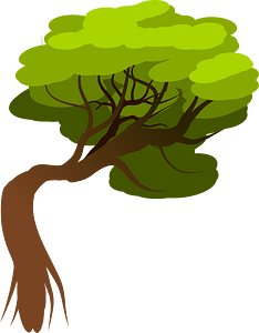 Deciduous tree