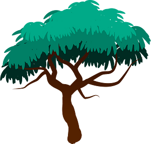 Deciduous tree