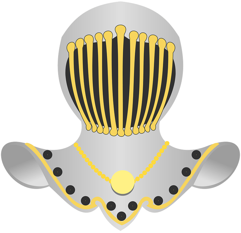 Heraldic helmet