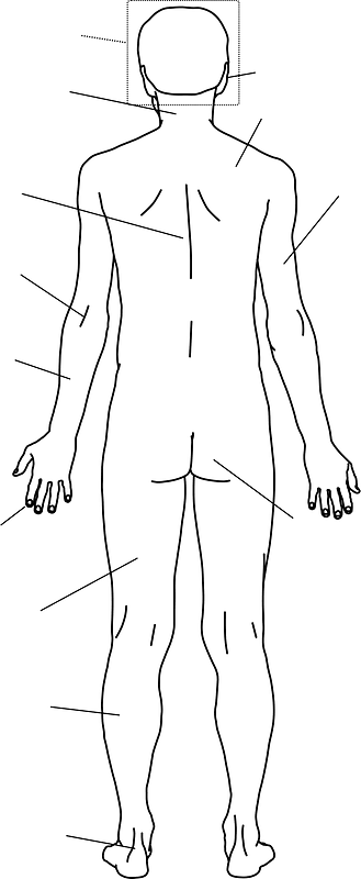Human body with Blank labels